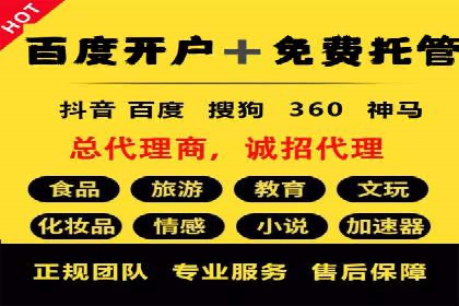 SEM竞价优化实战：提升转化率案例分析